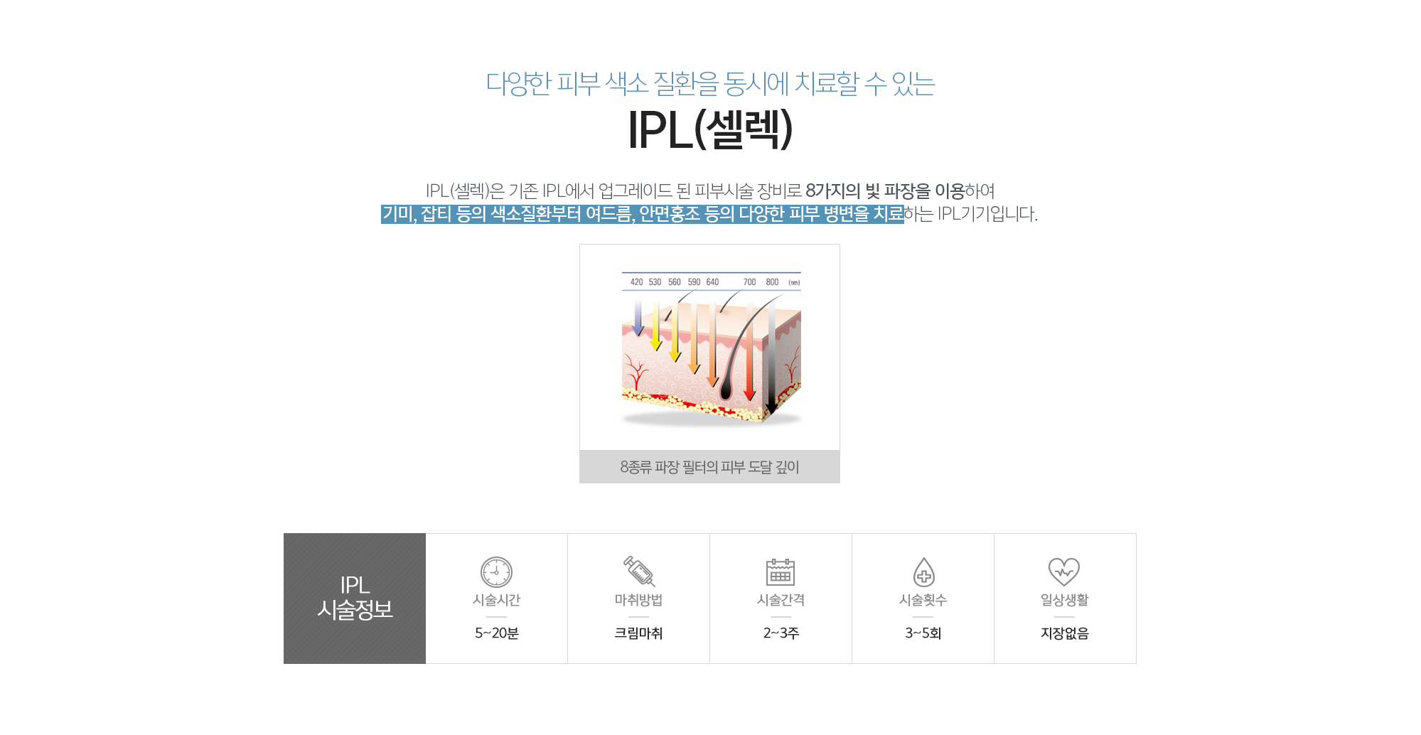 IPL(셀렉)