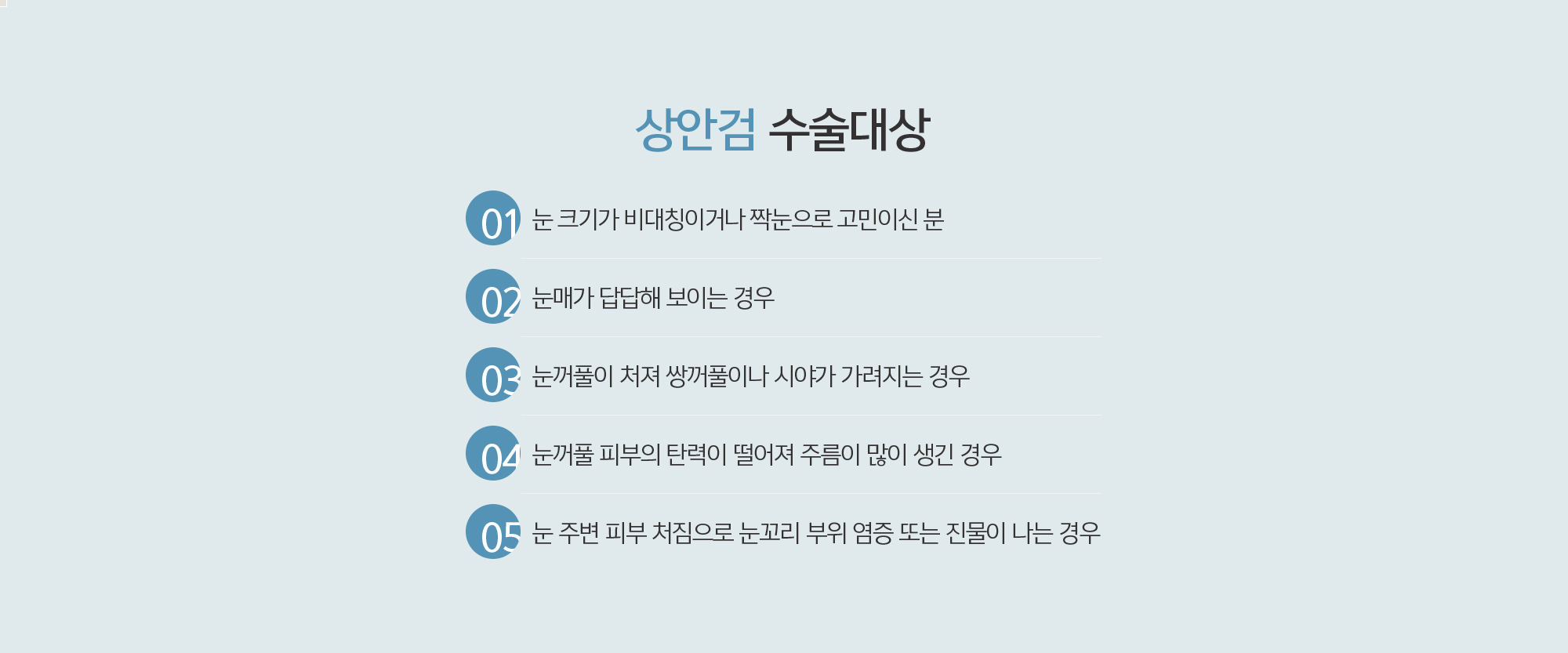 상안검 수술대상