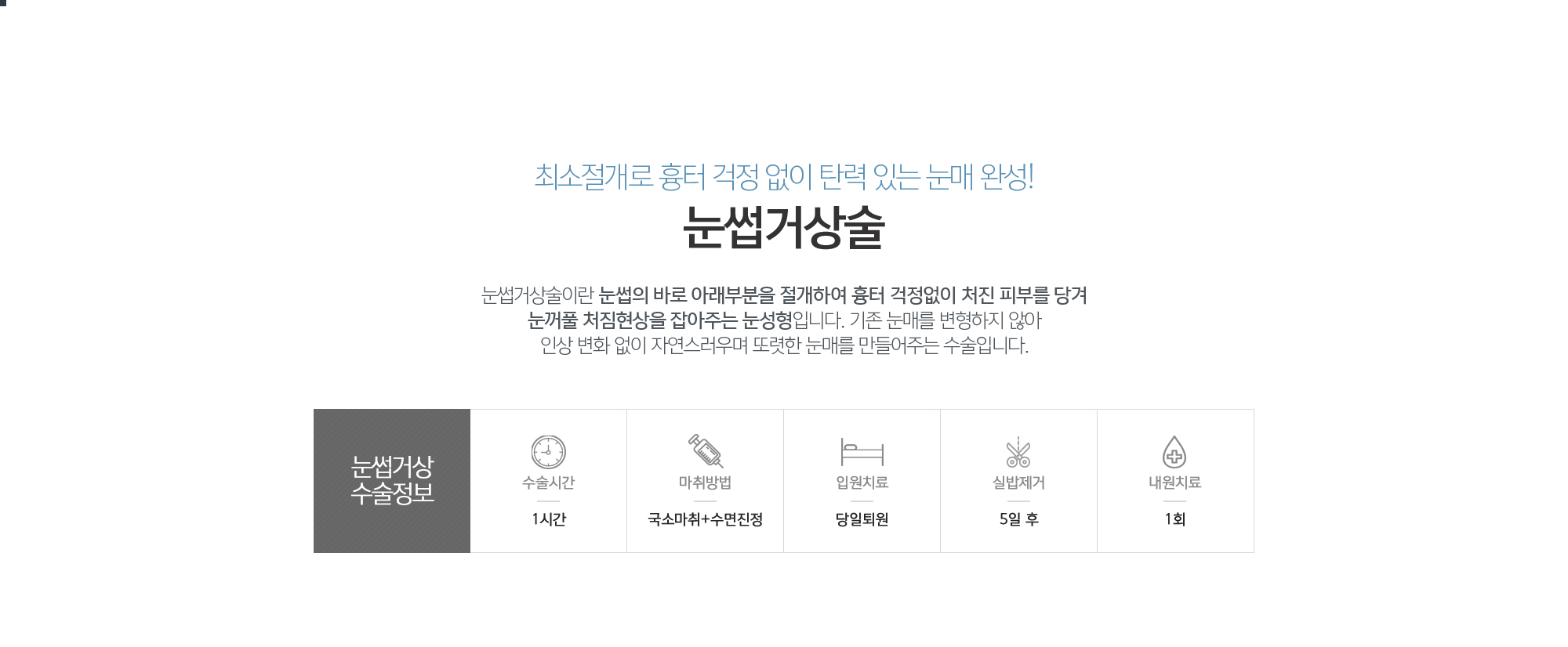 눈썹거상술